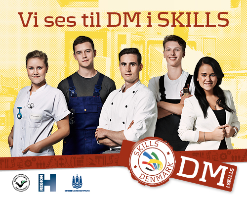DM i Skills 2015_1